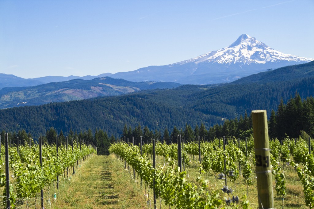 Glamping Mixed with Wine in Oregon’s Willamette Valley - Glamping.com